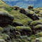 Island, Lava Landschaft mit Moos bewachsen